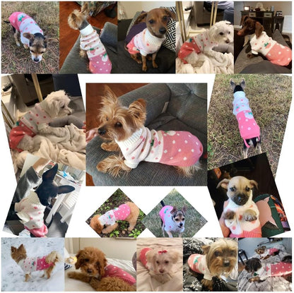 Dog Sweaters Classic Knitwear, Turtleneck Winter Warm Pet Puppy Clothes | Cute Strawberry Pattern, Lightweight & Warm Knitted Winter Sweater, Cold Weather Coat, Great for Daily Wear, Easy on & Off