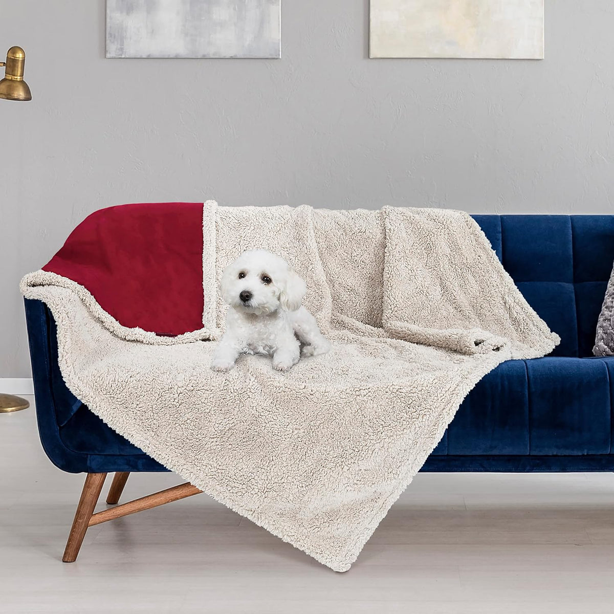 Waterproof Pet Blanket, Reversible Throw for Dogs and Cats | 50 X 60 Inch, Washable Sofa and Bed Protector, Shields Furniture from Fur, Dirt, Scratches and Everyday Spills
