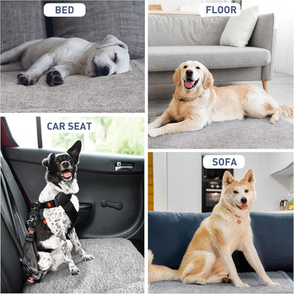 Waterproof Pet Blanket, Reversible Throw for Dogs and Cats | 50 X 60 Inch, Washable Sofa and Bed Protector, Shields Furniture from Fur, Dirt, Scratches and Everyday Spills